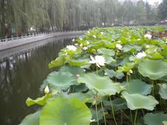 -大明幻境第一城