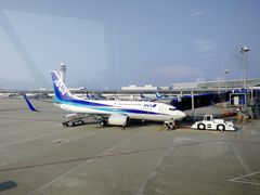 -全日本空输株式会社(上海办事处)