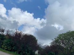 -胜华驾校·小猫学车(银都店)