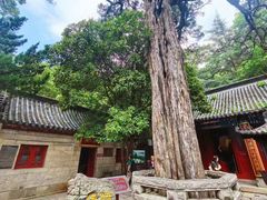 -青岛崂山太清宫