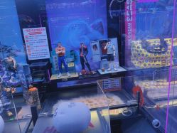 -嗨翻Hi-Fun竞技主题乐园·蹦床团建生日聚会(五棵松华熙店)