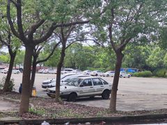 -安飞驰驾校·学车连锁(金高店)
