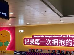 -上海浦东国际机场-T2航站楼