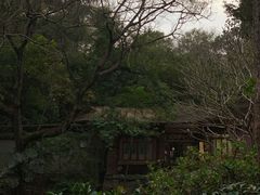 -广州兰圃