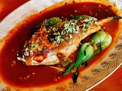 -天正河鲀·河豚亭(大连店)