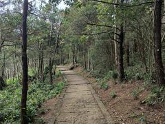 -玉苍山国家森林公园