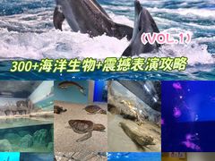 -西安曲江海洋极地公园