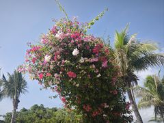 -三亚南山文化旅游区