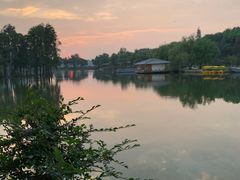 -东湖食堂·湖景餐厅•会议