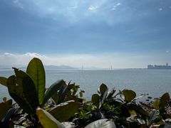 -福田红树林生态公园