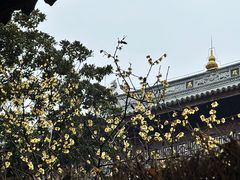 -龙华寺