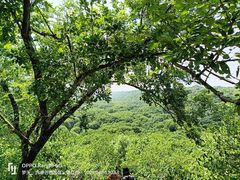 -大青沟风景区