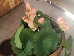 -山衢味庄·鲜辣衢菜(杭行路店)