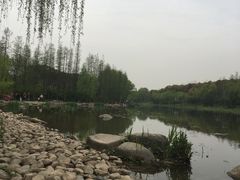 -新江湾城公园