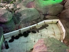 -泉城欧乐堡海洋极地世界