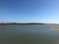 -北海金海湾红树林生态旅游区