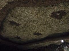 -金源温泉休闲会馆