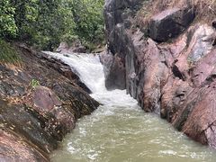 -广州白江湖森林公园