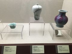 -广西壮族自治区博物馆