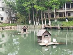 -乌村