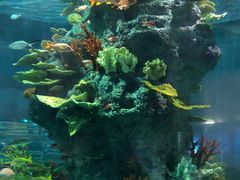 -福州罗源湾海洋世界旅游区