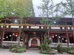 -青城甲(青城山店)