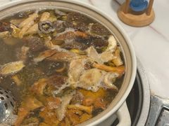 -蘑统田下·野生菌火锅