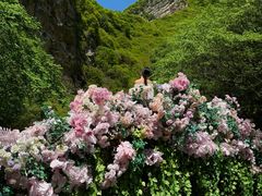 -少华山国家森林公园