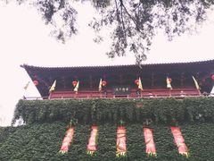-杭州宋城