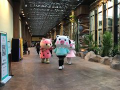 -杭州开元森泊度假乐园