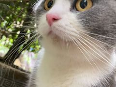 -荔康动物医院(康王北路店)