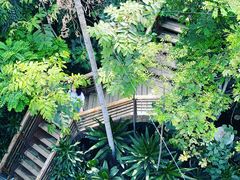 -郑州植物园