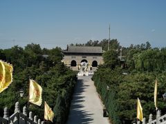 -大槐树寻根祭祖园