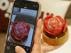 -哈根达斯(深圳海岸城店)