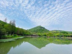 -八卦田遗址公园