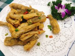 -寻味顺德·南记酒家·传统顺德菜·鱼生(广源路店)