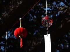 -白马涧龙池景区