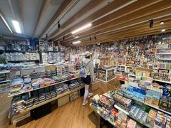 -鸿兴玩具