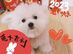 -佐罗家宠物馆·猫文化馆(紫霞路店)