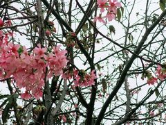 -小南山公园