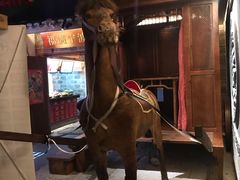 -老宁波1381餐厅(桃源中路店)