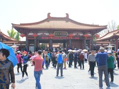 -神州牡丹园