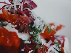 自制ricotta-EGoN
