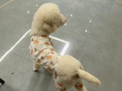 -贝利宠物医院·骨科·眼科·肿瘤转诊中心(南坪诊疗中心)