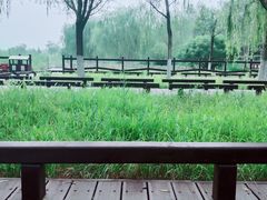 -西青郊野公园
