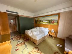 -维也纳智好酒店(深圳罗湖口岸国贸火车站店)