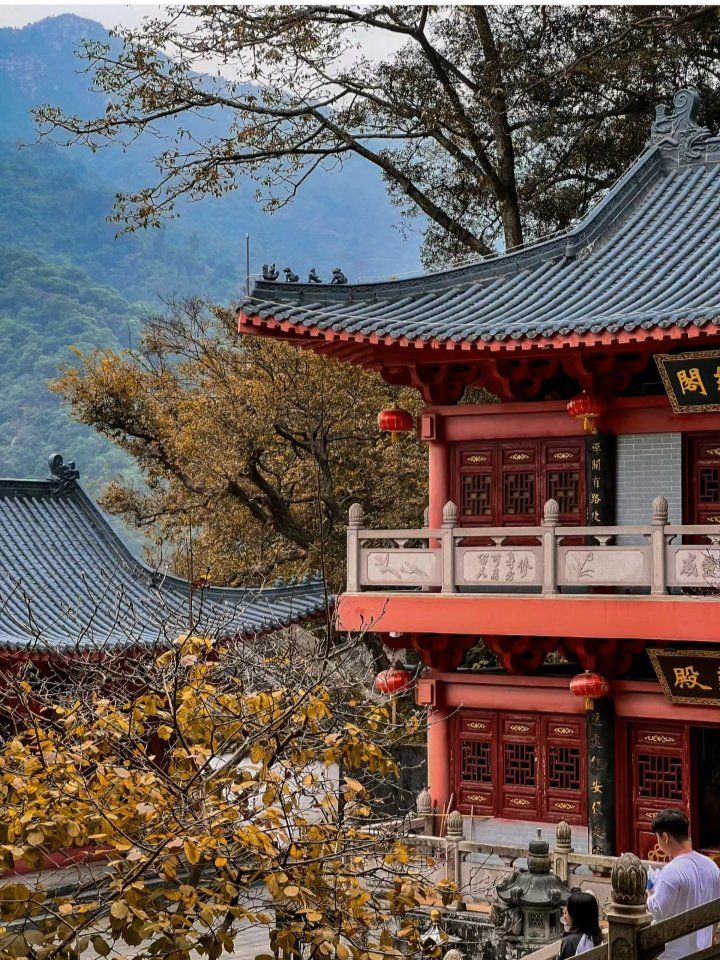 深山藏古寺,观音禅院静人心