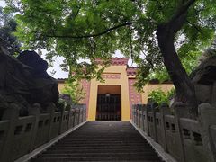 -冶父山国家森林公园