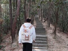 -千岛湖东南湖区