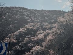 -妙峰山风景名胜区
